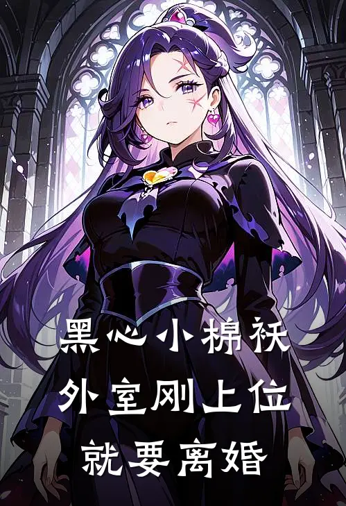 黑心小棉袄：外室刚上位就要离婚