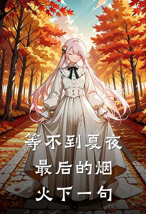 等不到夏夜最后的烟火下一句